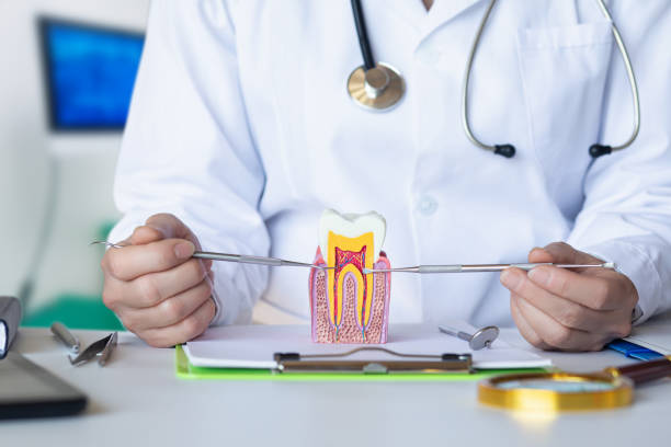 Best Emergency Orthodontic Repairs in Little Canada, MN